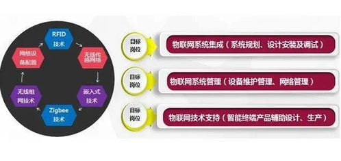 特色专业介绍丨物联网应用技术专业 网络技术开发的创新引擎