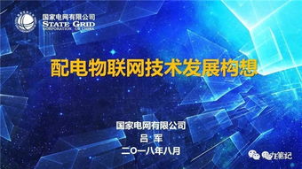 配电物联网技术发展构想与网络技术开发路径探析